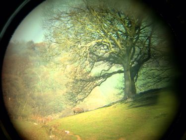 View through telescope