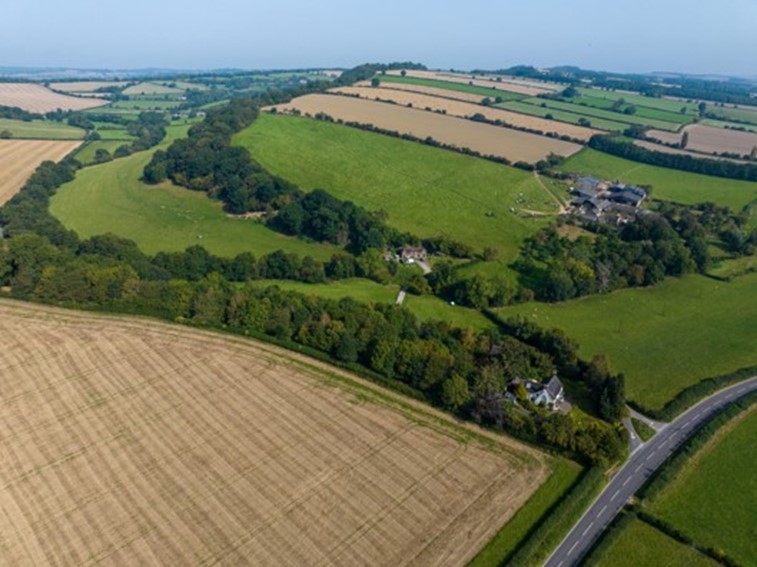 Aerial view of Ferndale