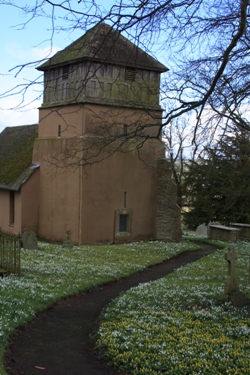 Shipton Snowdrops